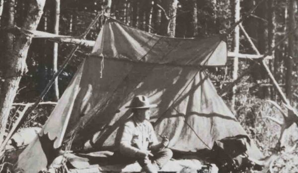 The Whelen Tent green - Image 10